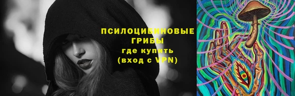 ПСИЛОЦИБИНОВЫЕ ГРИБЫ Арсеньев
