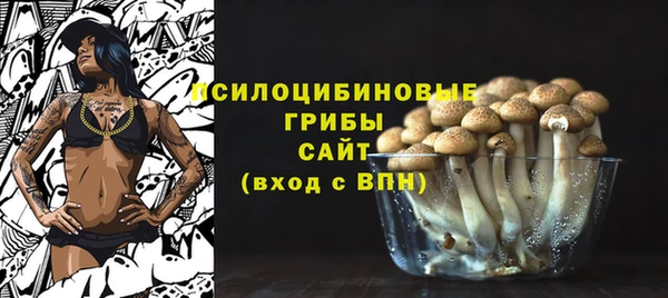 ПСИЛОЦИБИНОВЫЕ ГРИБЫ Арсеньев