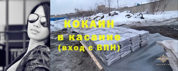 ПСИЛОЦИБИНОВЫЕ ГРИБЫ Арсеньев