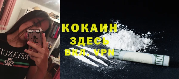 ПСИЛОЦИБИНОВЫЕ ГРИБЫ Арсеньев