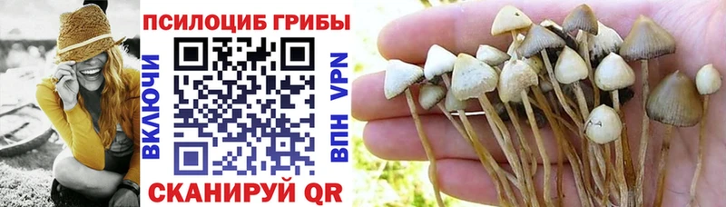 Псилоцибиновые грибы Psilocybine cubensis  цена наркотик  Пучеж 